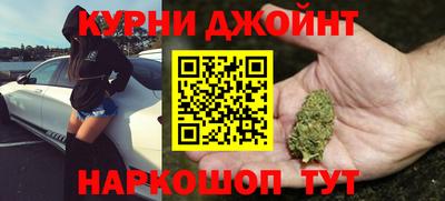 молекула духа Кингисепп